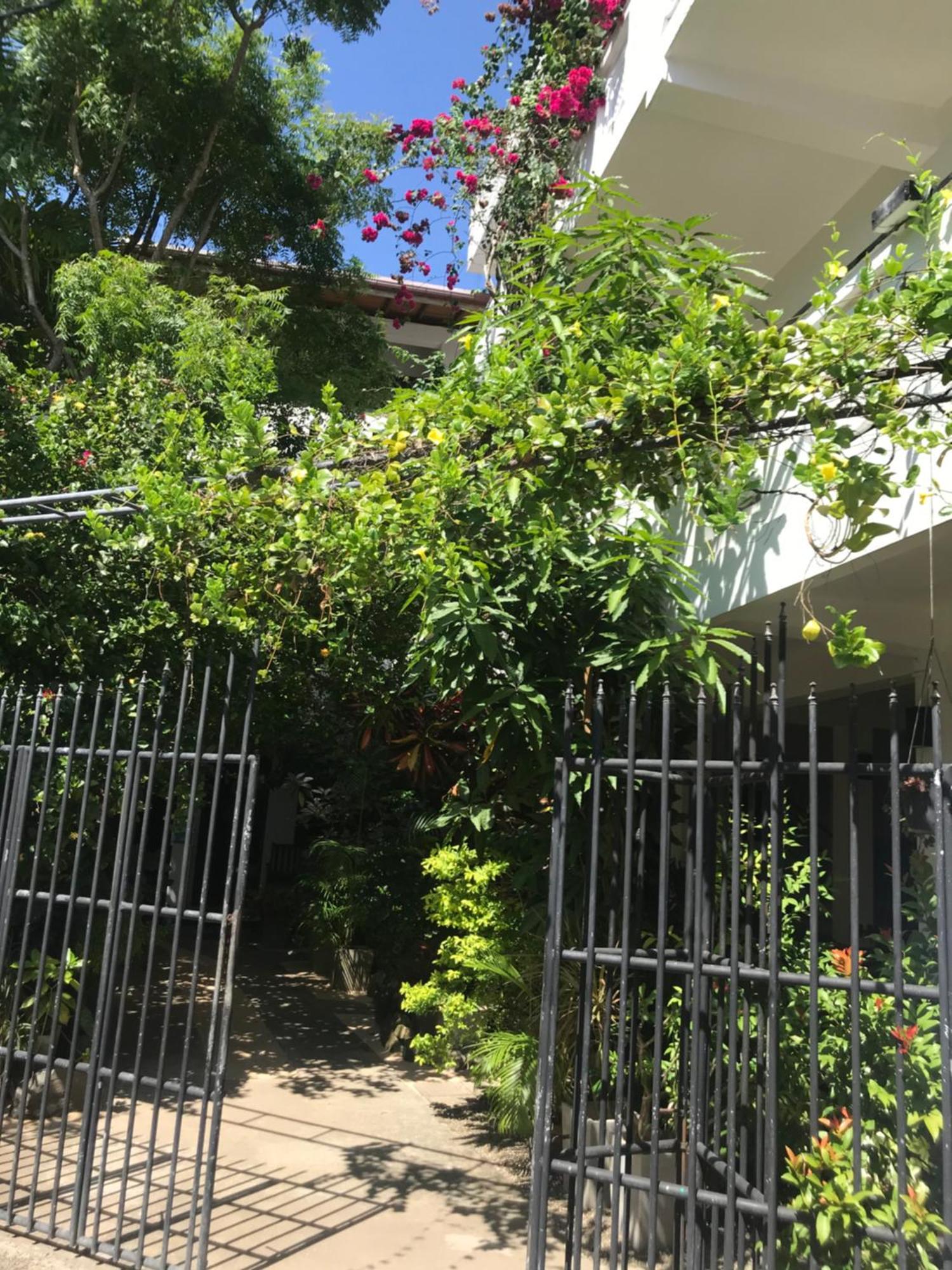 Unawatuna Beach Bungalow - Εξωτερικό φωτογραφία