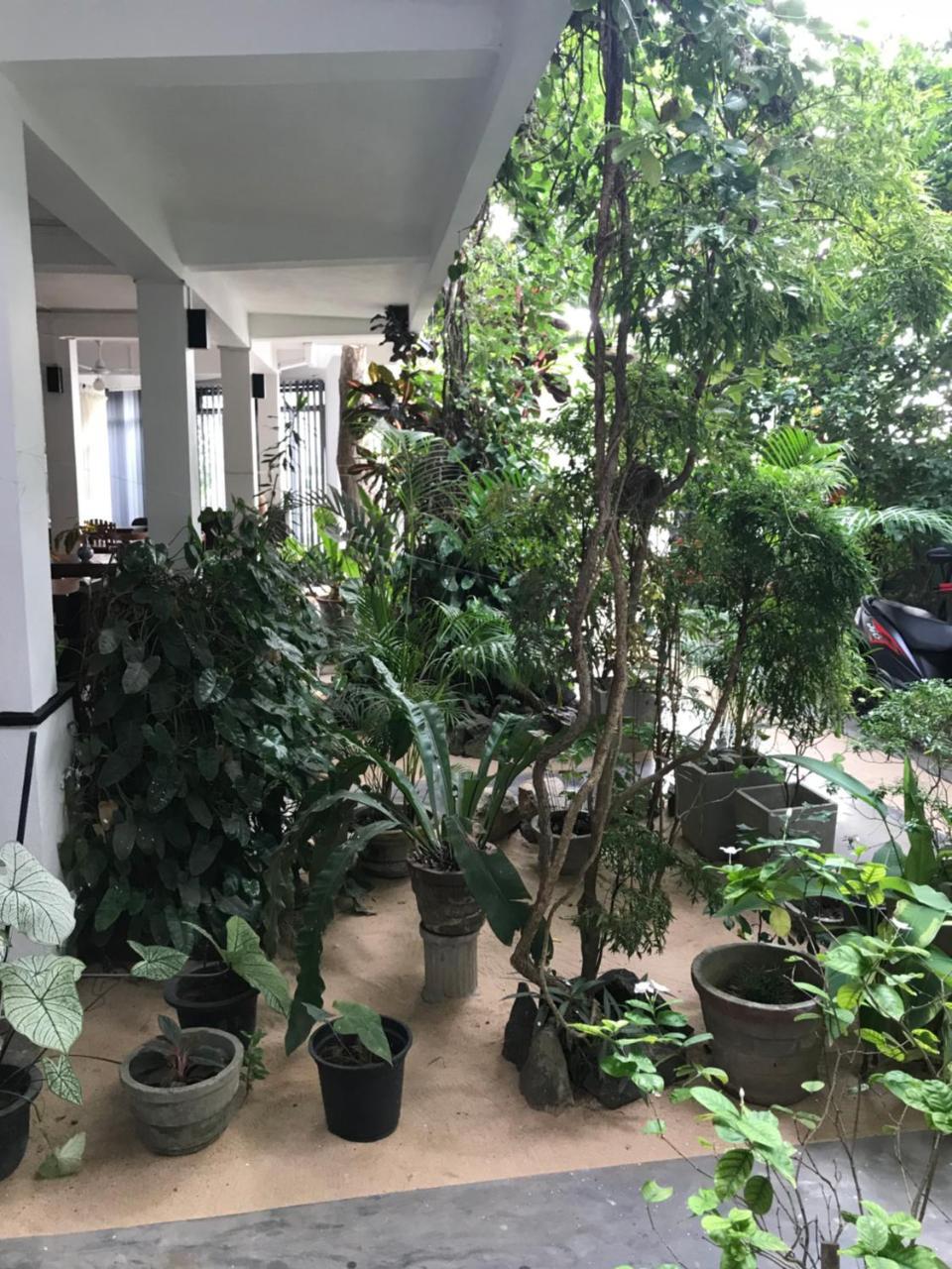 Unawatuna Beach Bungalow - Εξωτερικό φωτογραφία